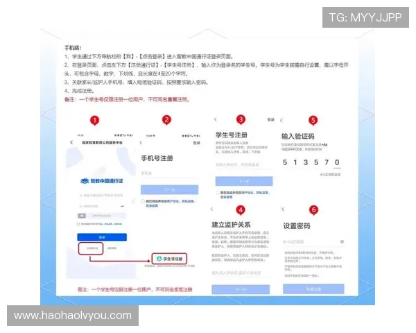 壹号账号登录入口如何快速登录,详细操作步骤与注意事项