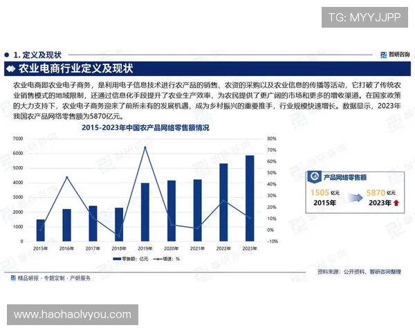 壹号网站:全面解析最新的电子商务发展趋势与创新